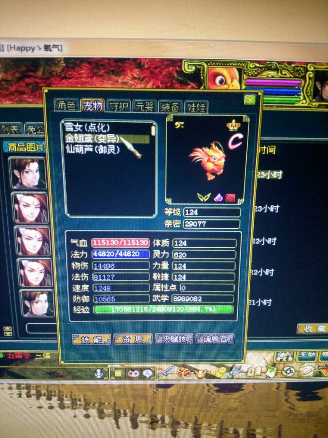 网页梦幻西游私服