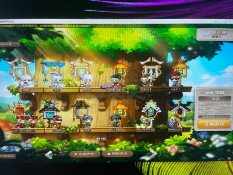 梦幻西游公益服私服心得