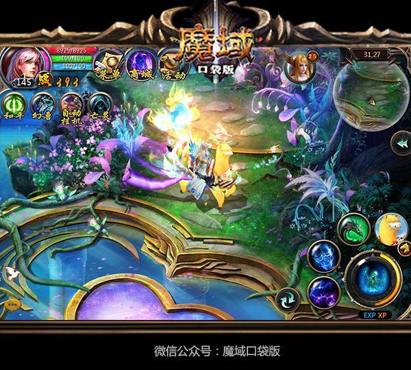 梦幻西游私服怎么举报
